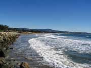 Hasting's House Garden