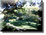Hastings House Garden View Hastings House Garden View