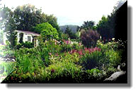 Hasting's House Garden