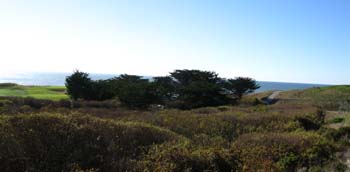 Miramontes Pt Half Moon Bay Wedding Location