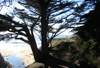 Miramontes Pt Half Moon Bay Wedding Location Upper