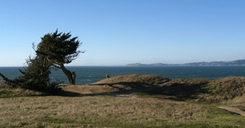 Poplar California State Beach Location Poplar California State Beach Location