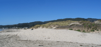 Roosevelt California State Beach Ceremony