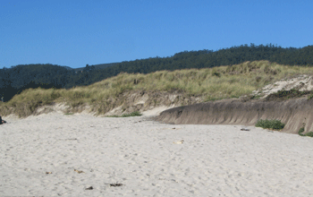 Roosevelt California State Beach Closer