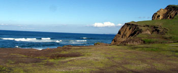 San Gregorio California State Beach North