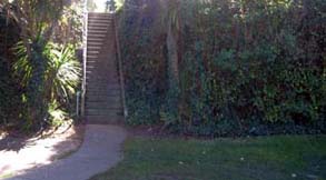 Photo of the Black Point San Francisco Marina.